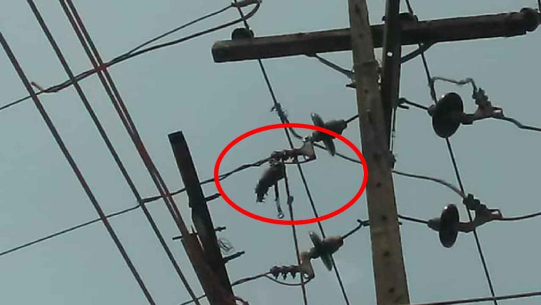 Ikeja Electric Staff Electrocuted,Loses Arm During Power Disconnection 1