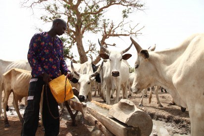 Herdsmen: kill One, Injure Another In Delta 1