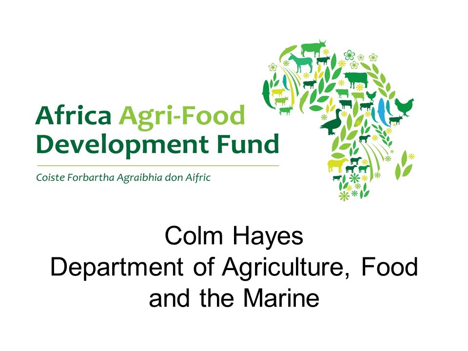 Africa Agri-food Development