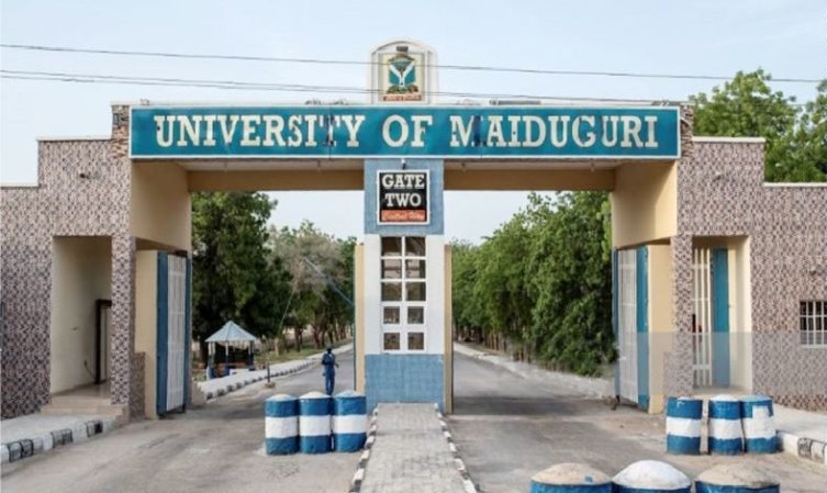 Borno State University Post-UTME 2019, Eligibility and Registration Details 1