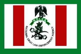 NDLEA Shortlist Candidates 2019 Update