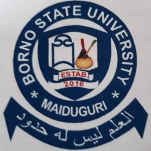 Borno State University