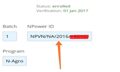 Applying for Npower Transitioning? Here is how to check for your Npower ID Number