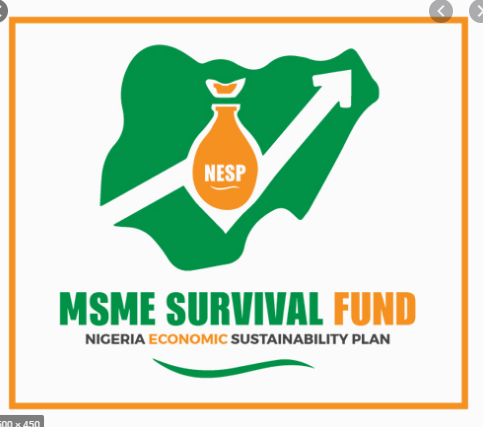 Survival Fund N75bn Disbursement begins Today by 10PM - See how to Apply (www.survivalfundapplication.com/)