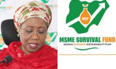 FG Updates MSME Survival Fund Registration Portal - Apply if you have not