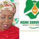 FG Updates MSME Survival Fund Registration Portal - Apply if you have not