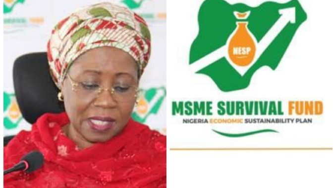 FG Updates MSME Survival Fund Registration Portal - Apply if you have not