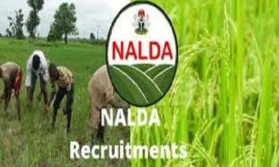 NALDA Recruitment 2021 Online Application Begins (How to Apply)