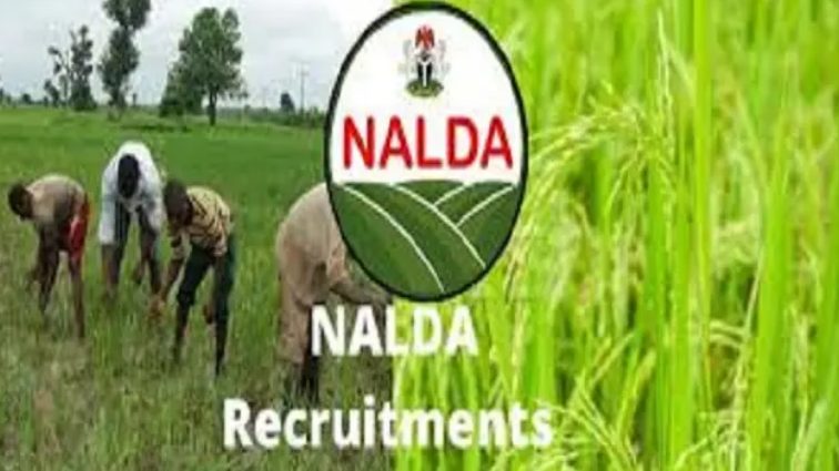 NALDA Recruitment 2021 Online Application Begins (How to Apply)