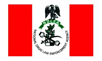 NDLEA Recruitment 2021: FG Gives update on recruitment exercise