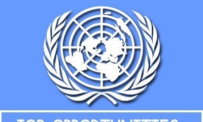 UN Jobs: Apply as Head of mission Nigeria M/F (More details)