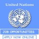 UN Jobs: Apply as Head of mission Nigeria M/F (More details)