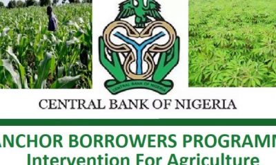 Apply for CBN Anchor Borrowers Programme (ABP) 2021