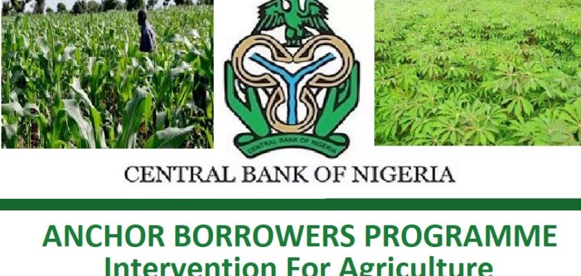 Apply for CBN Anchor Borrowers Programme (ABP) 2021