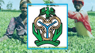Apply for CBN 2021 Commercial Agriculture Credit Scheme (CACS) N200 billion Fund