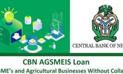 Apply For NMFB AGSMEIS Loan 2021 - See Application Link