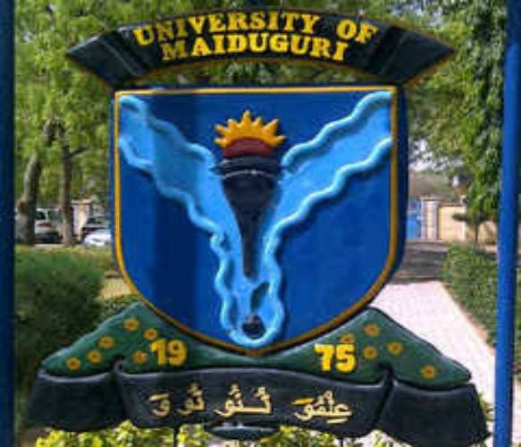 University of Maiduguri (UNIMAID) Admission List for 2020/2021 Academic Session 10