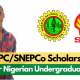 Update: Tertiary Institution Scholarship Scheme 2021 And How to Apply. 24