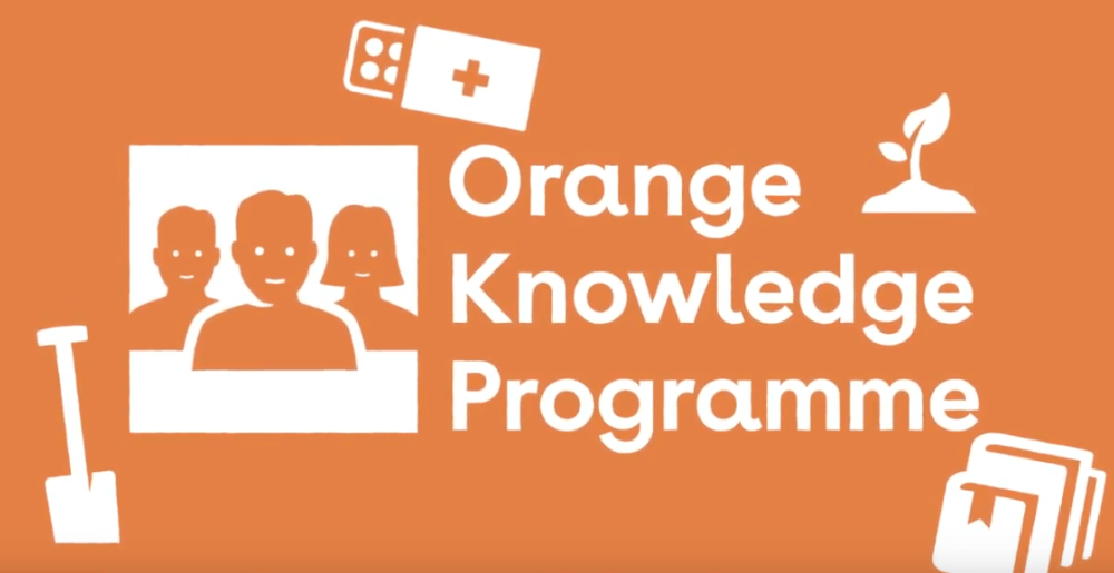 Nuffic Orange Knowledge Scholarship Programme. 1