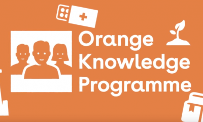 Nuffic Orange Knowledge Scholarship Programme. 2