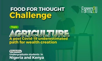 ‘Food For Thought’ Challenge for Nigerians and Kenyans ( Get Upto $100 in Cash) 2021