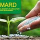 Fmardspace Fertilizer Subsidy Grant 2021: Payment to begin for AFJP Farmers