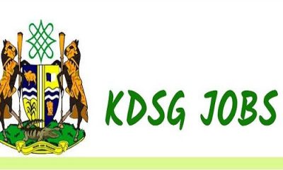 Apply for Kaduna State Government Recruitment 2021 (6 Positions)