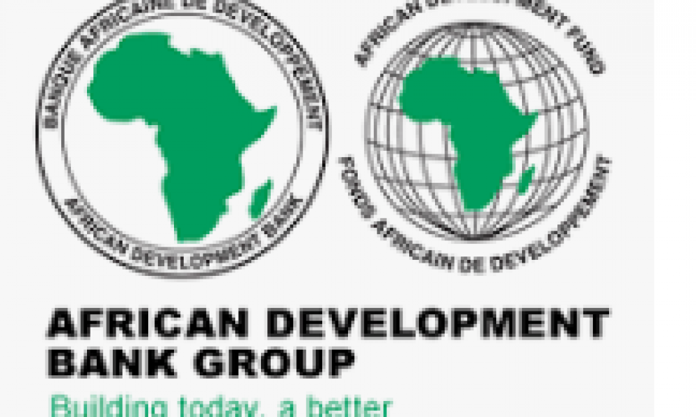 Mo Ibrahim Foundation Leadership Fellowship Program 2022 – African Development Bank (AfDB) – How to Apply