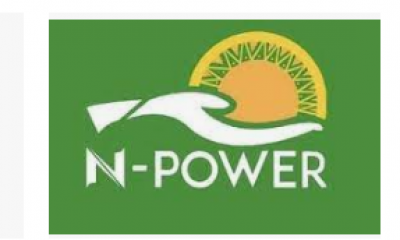 Reasons FG Can’t Provide Permanent Job For Npower Beneficiaries