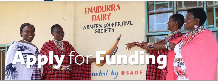 USAID-USADF Grants for 2021 Mandela Washington Fellows Program