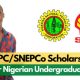 NNPC/SNEPCo National University Scholarship Application 2021