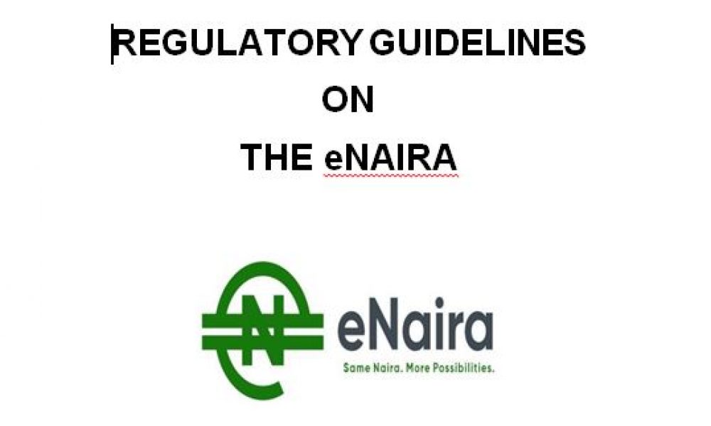 eNaira 2021 Guidelines - How to Mint and Become a Holder today