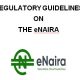 eNaira 2021 Guidelines - How to Mint and Become a Holder today