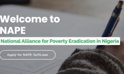 NAPE SoftLoan Application 2021 - Get Up to N500,000