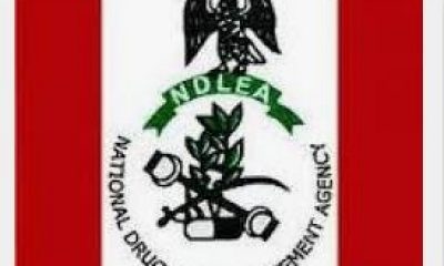 NDLEA Batch 3 Recruitment Training List And Date