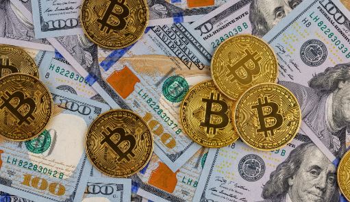 Difference Between Fiat Money And Bitcoin