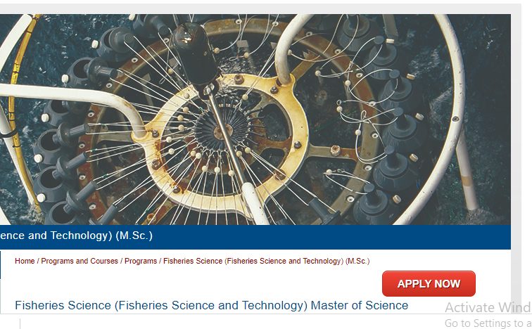 MSc in Fisheries Science (Full Scholarship) at Marine Institute Canada