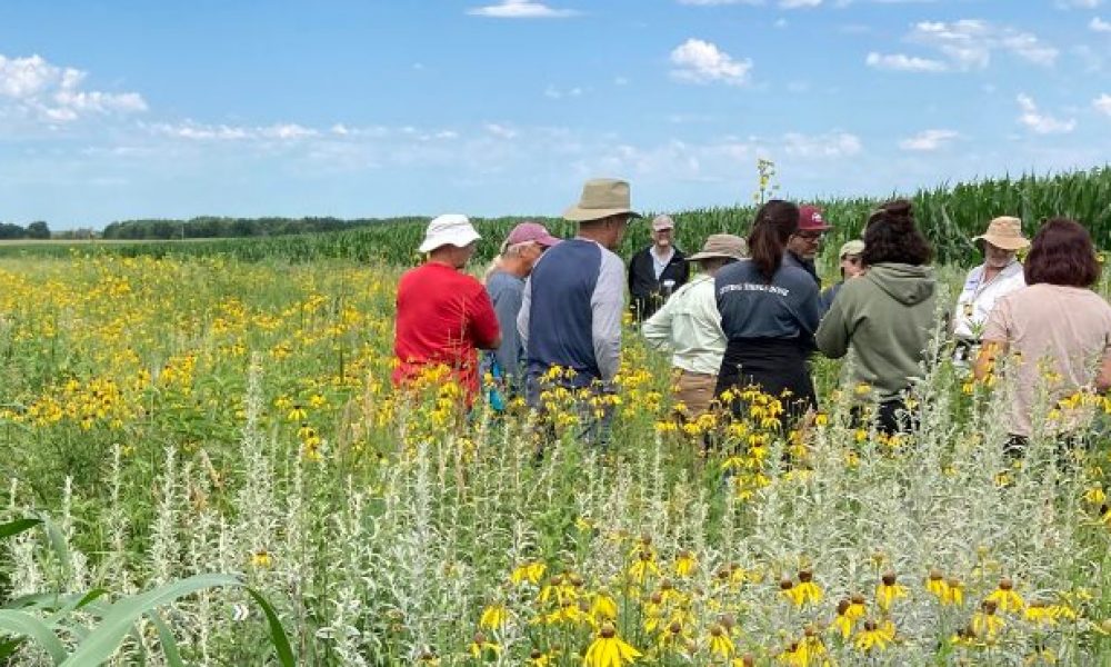 US: Apply for SARE Grant programs 2023 to fund farmers, educators and researchers