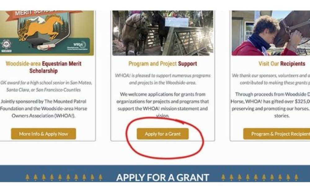 How to Apply for WHOA! Grant 2024 (Up-to $5,000)