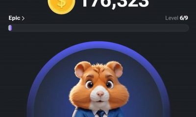 If you miss #Notcoin Don't miss Hamster Kombat Token - See how you can Earn