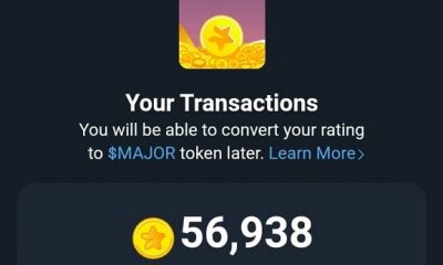 I made over $857 from Dogs, Don't miss $MAJOR, The Pre-Market Sale has begun, Start Mining Now!